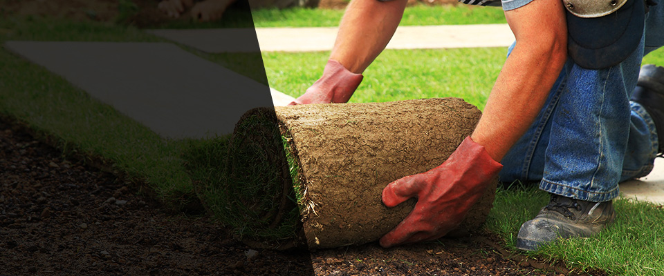 New Fairfield Landscapers